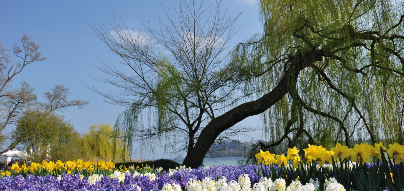 Blumeninsel Mainau © bonline - fotolia.com