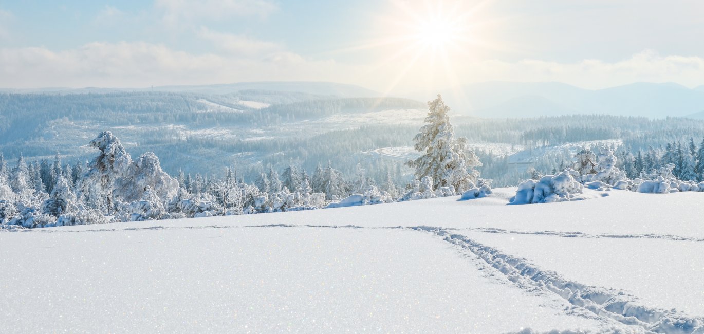 Verschneite Winterlandschaft im Schwarzwald © Corri Seizinger-stock.adobe.com