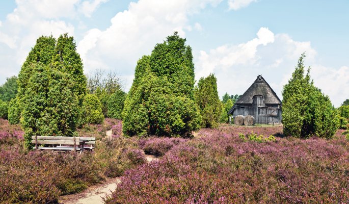 Schafstall in der Lüneburger Heide © Gabriele Rohde - fotolia.com