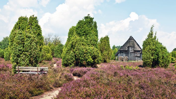 Schafstall in der Lüneburger Heide © Gabriele Rohde - fotolia.com