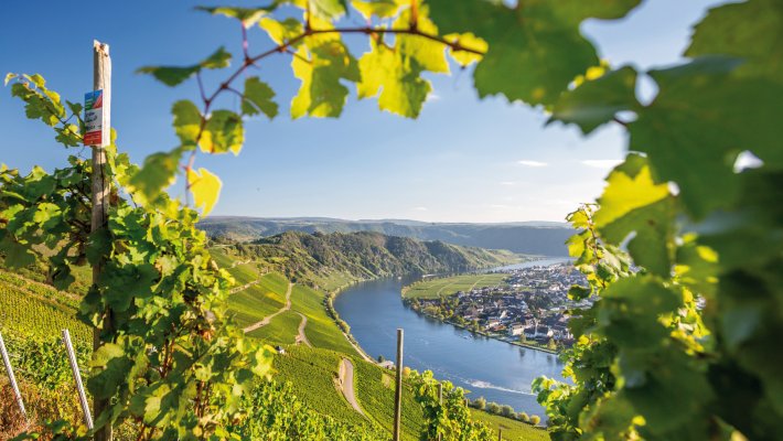 Mosel-Panorama © mh90photo - Fotolia
