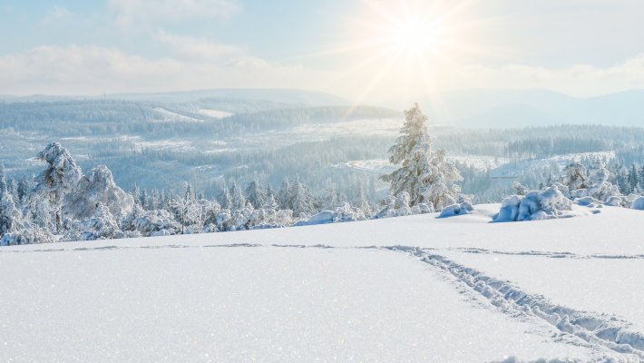 Verschneite Winterlandschaft im Schwarzwald © Corri Seizinger-stock.adobe.com