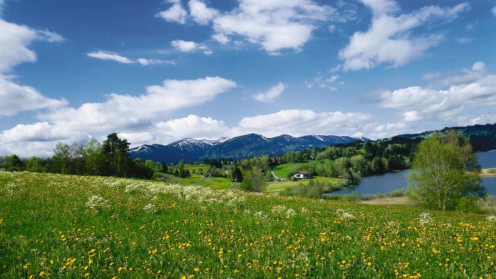 Frühlingslandschaft © FVA Allgäu/Bayer. Schwaben